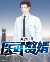 医武赘婿完整版