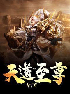 天道至尊免费阅读
