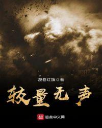 较量无声国安纪录片完整版