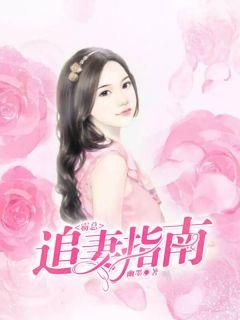 霸总追妻哪里跑
