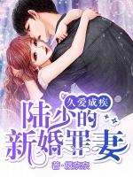 久爱成疾陆少的新婚罪妻全文