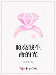 照亮我生命的光800字