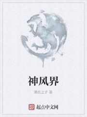 神风界主上那本的角色