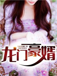 龙门豪婿电视剧