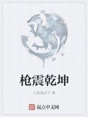 无名枪乾坤定