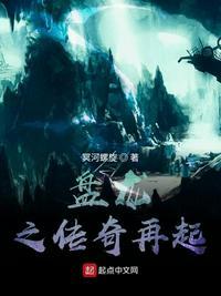 盘龙传奇