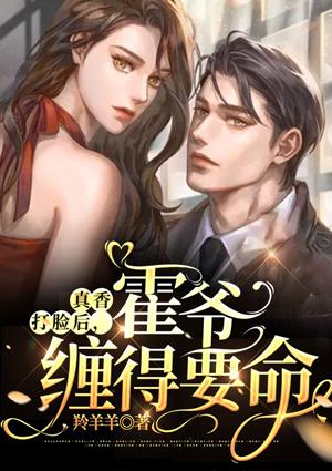 宋南衣霍司沉免费阅读