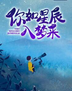 你如星辰入梦来29