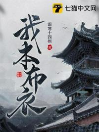 我本布衣起于淮右