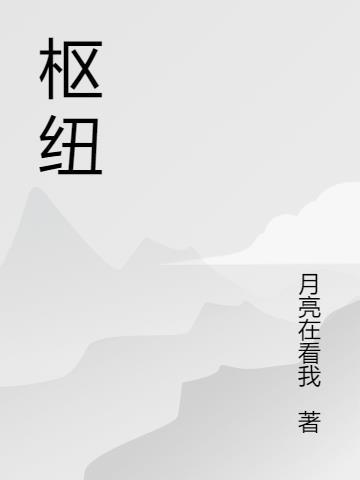 枢纽这本书怎么样