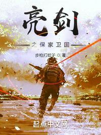 请播放亮剑