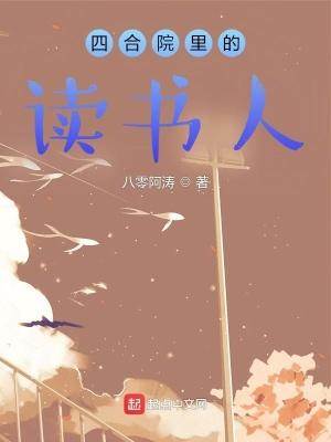 四合院节选阅读答案