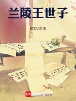 兰陵王生子