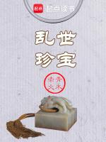 乱世珍宝笔趣阁免费
