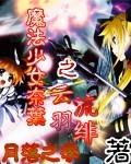 魔法少女奈叶衍生