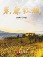 荒原红城讲了什么