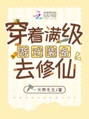 满级游戏穿越