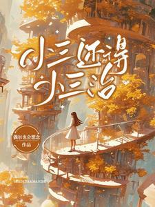 小三有好的吗