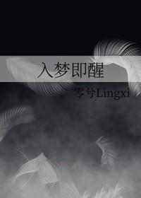 醒来入梦