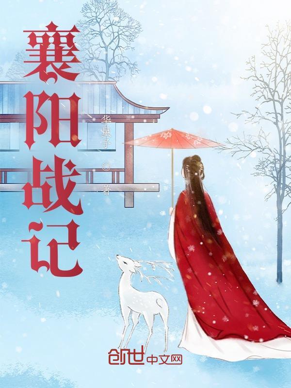 襄阳战记阅读