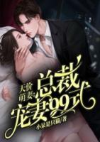 天价小萌妻总裁33日