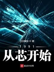 1991从芯开始sodu