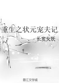 重生之状元宠夫记笔趣阁
