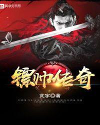 龙帅传奇全集